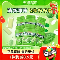 Green Arrow Original Taste Mint Chewing Gum Fruit About 40 Grain 6 Bottles Boxed Fresh Breath Casual Little Snack Portable