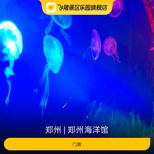 [郑州海洋馆-大门票]