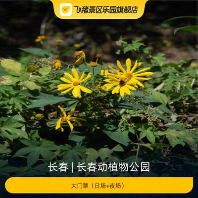 [长春动植物公园-大门票（日场+夜场）]