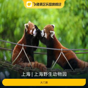 [上海野生动物园-大门票]