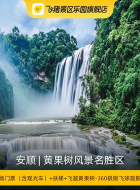 [黄果树风景名胜区-日场门票（含观光车）+扶梯+飞越黄果树-360极限飞球观影票]