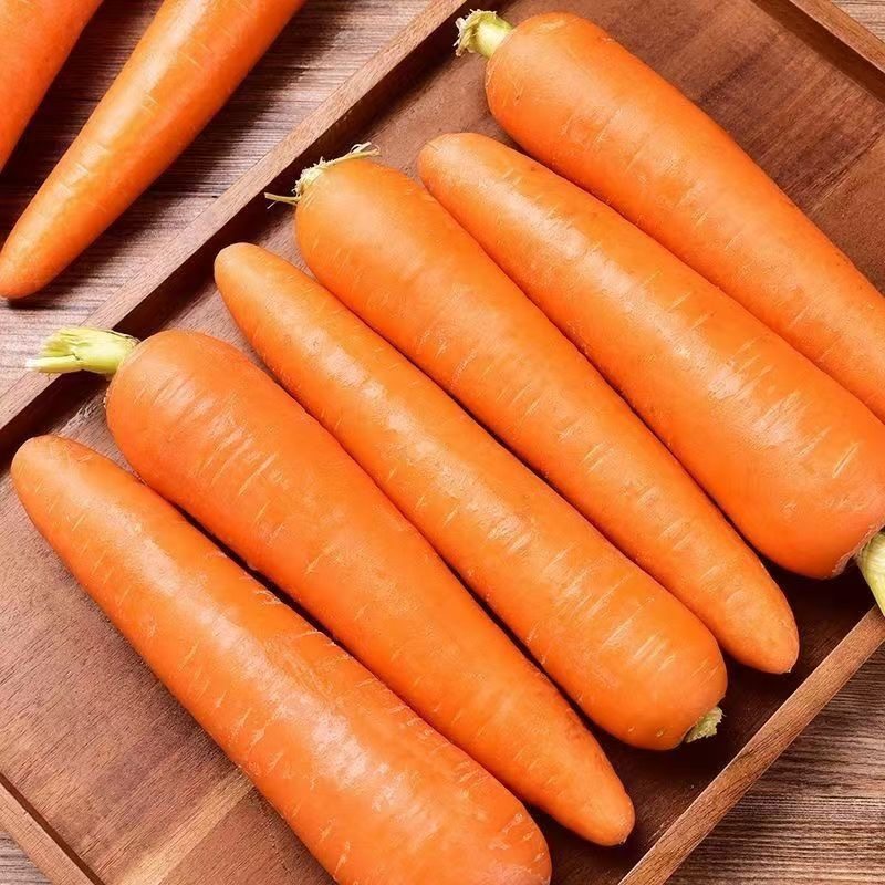 胡萝卜现挖新鲜农家水果蔬菜红萝卜带土自家宝宝辅食脆甜新鲜脆甜,淘宝优惠券,粉丝福利购,淘宝优惠卷