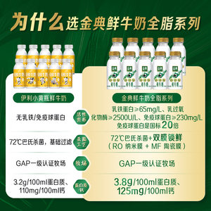 【比常温奶更好喝】伊利金典巴氏杀菌生牛乳全脂牛奶营养早餐鲜奶