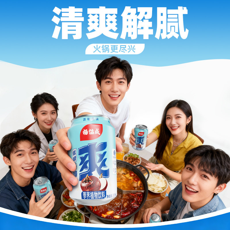杨协成低糖马蹄爽马蹄水果汁荸荠果肉夏日消暑饮料整箱300ml*24罐