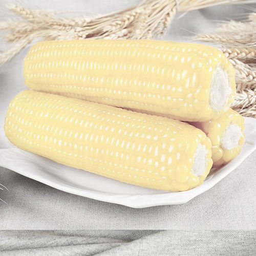 东北白糯玉米甜糯粘玉米真空装非转基因黏苞米粗粮代餐 - 图2