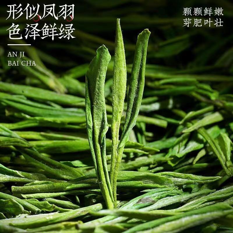 2025新茶正宗珍稀白茶高山绿茶嫩芽明前高档品质茶 - 图3