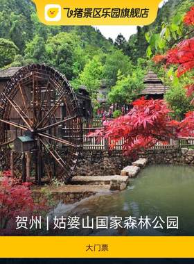 姑婆山大门票