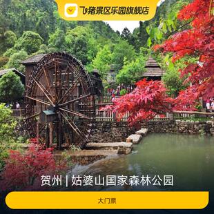 [姑婆山国家森林公园-大门票]