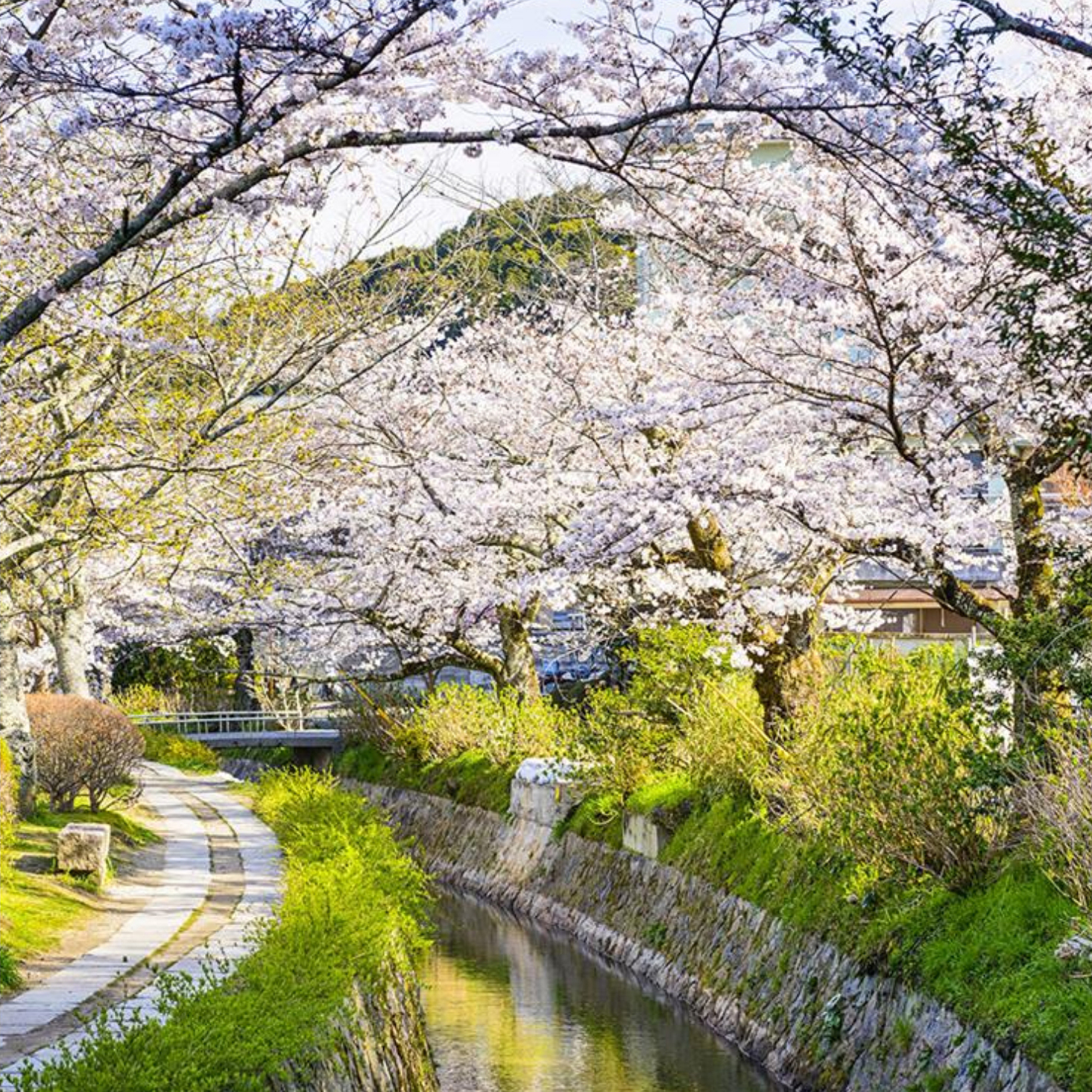 JRPASS 日本四国铁路周游券3/4/5/7日劵 高知高松德岛电子券 - 图2