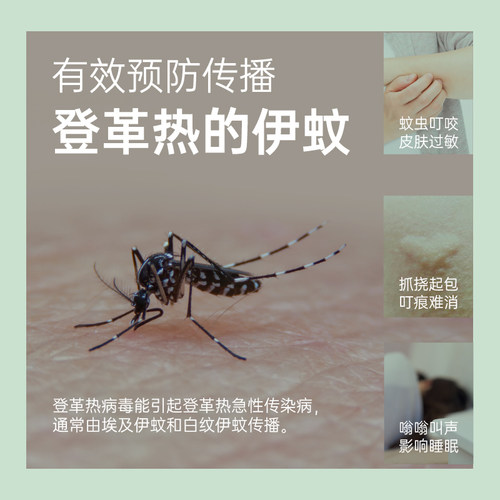 【包邮】榄菊盘香艾草蚊香预防基孔肯雅热伊蚊持久驱蚊灭蚊艾草 - 图0