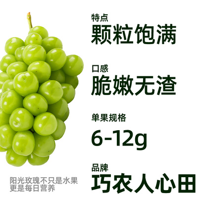 巧农人心田当季新鲜阳光玫瑰葡萄