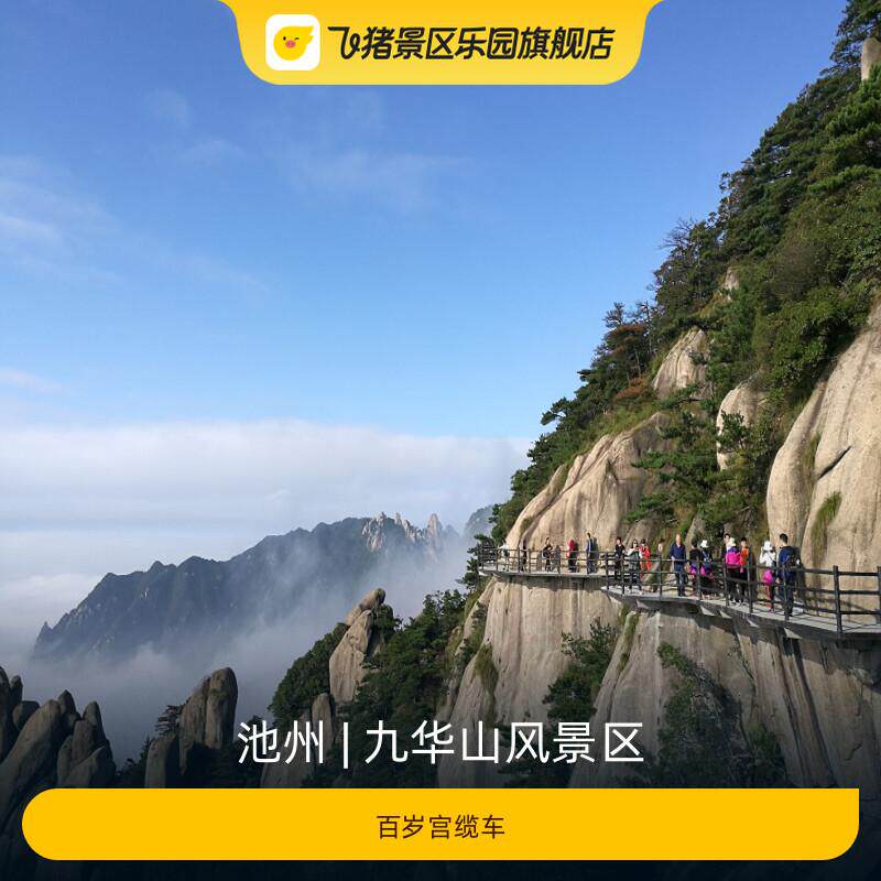[九华山风景区-百岁宫缆车]上行/下行/往返联票图片