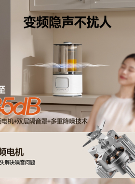 德国蓝宝变频降噪静低音破壁机
