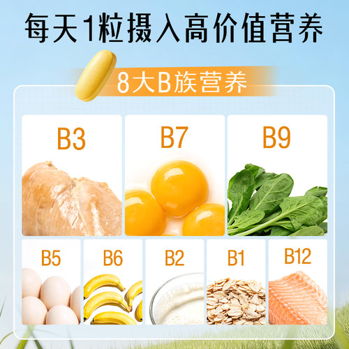 Swisse斯维诗B族维生素片烟酰胺生物素泛酸叶酸维生素b2保健食品 - 图0