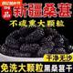 新疆野生黑桑葚免洗无沙桑新疆桑葚干罐装特级大果直泡茶泡水