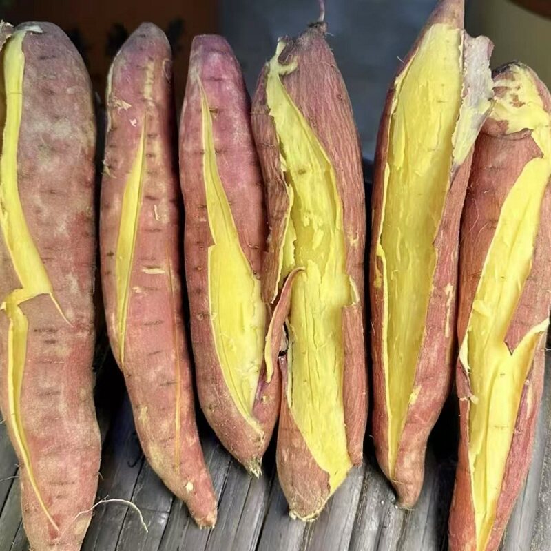 沙地黄心蜜薯板栗红薯新鲜粉糯香甜板栗薯5斤农家新鮮地瓜烟薯,淘宝优惠券,粉丝福利购,淘宝优惠卷