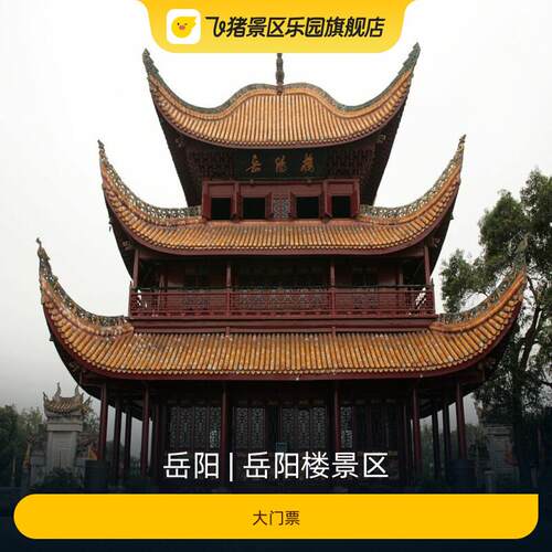 岳阳楼大门票