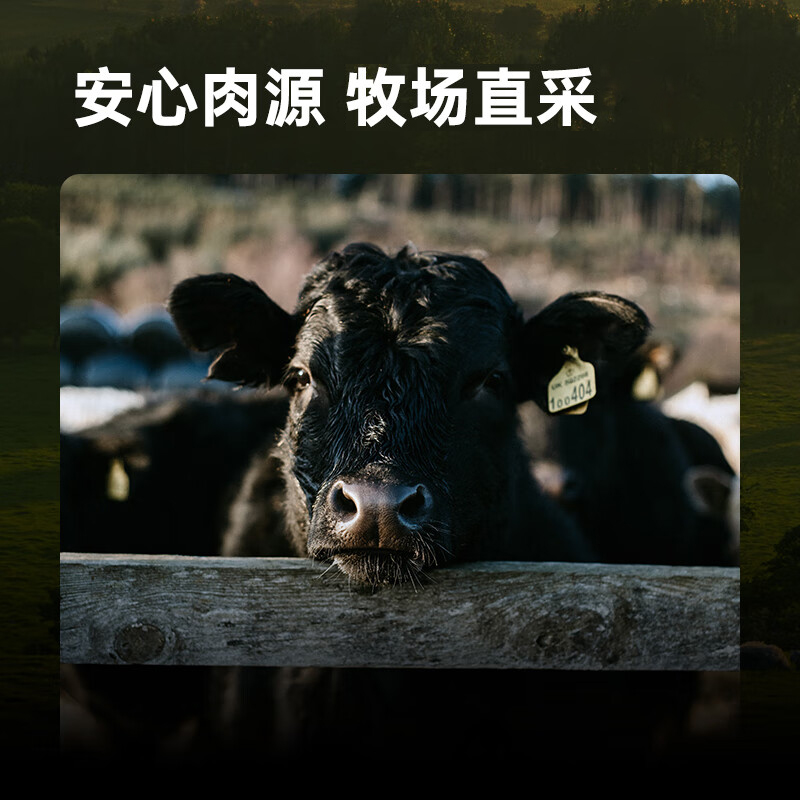 元牧希原切整块牛腩块2斤谷饲牛腩肉新鲜生鲜牛肉半成品冷冻批发 - 图2