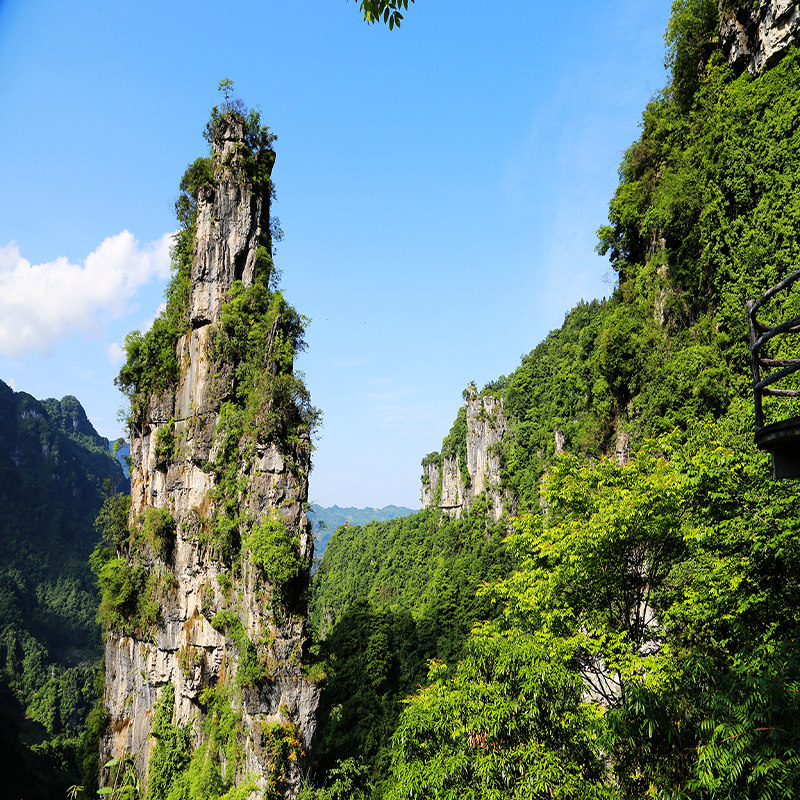 [清江方山风景区-大门票+单程索道+玻璃栈道+玻璃廊桥+换乘车]宜昌长阳清江方山票 项目全含 - 图1