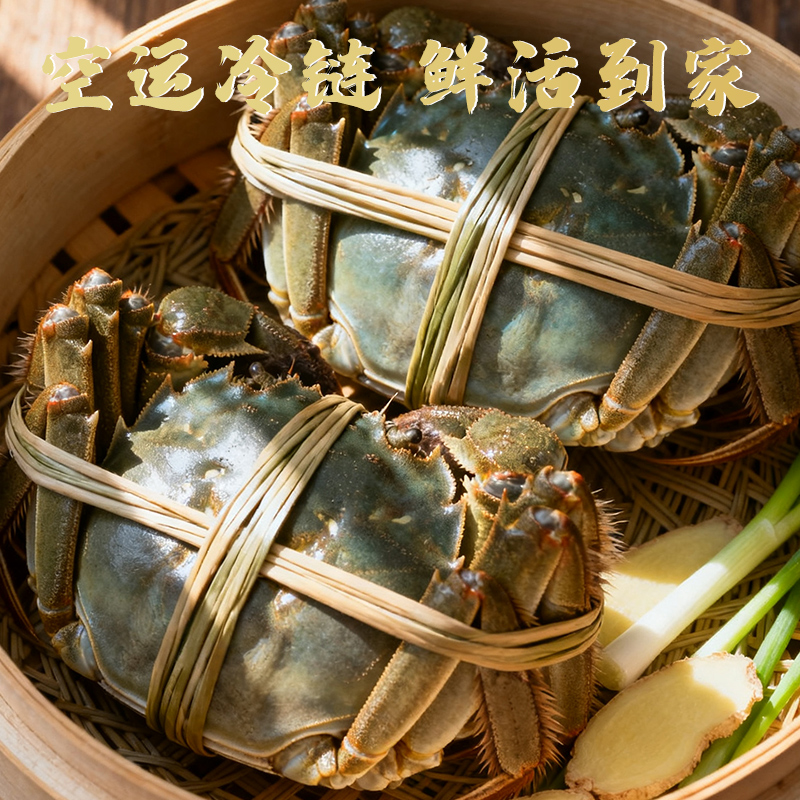 洫̳Ǻբзʻ3.0ȫĸз4.0зشʾƷ