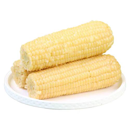 东北白糯玉米甜糯粘玉米真空装非转基因黏苞米粗粮代餐 - 图0