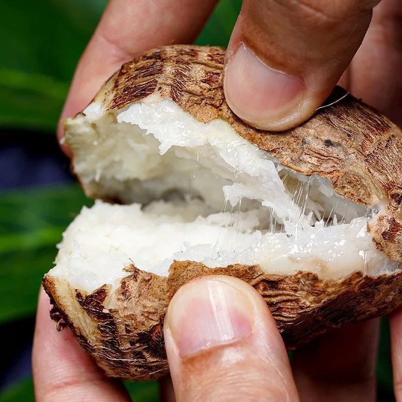 芋头新鲜农家牛奶小香毛芋头新鲜软粉糯批发现挖自种香芋头仔,淘宝优惠券,粉丝福利购,淘宝优惠卷