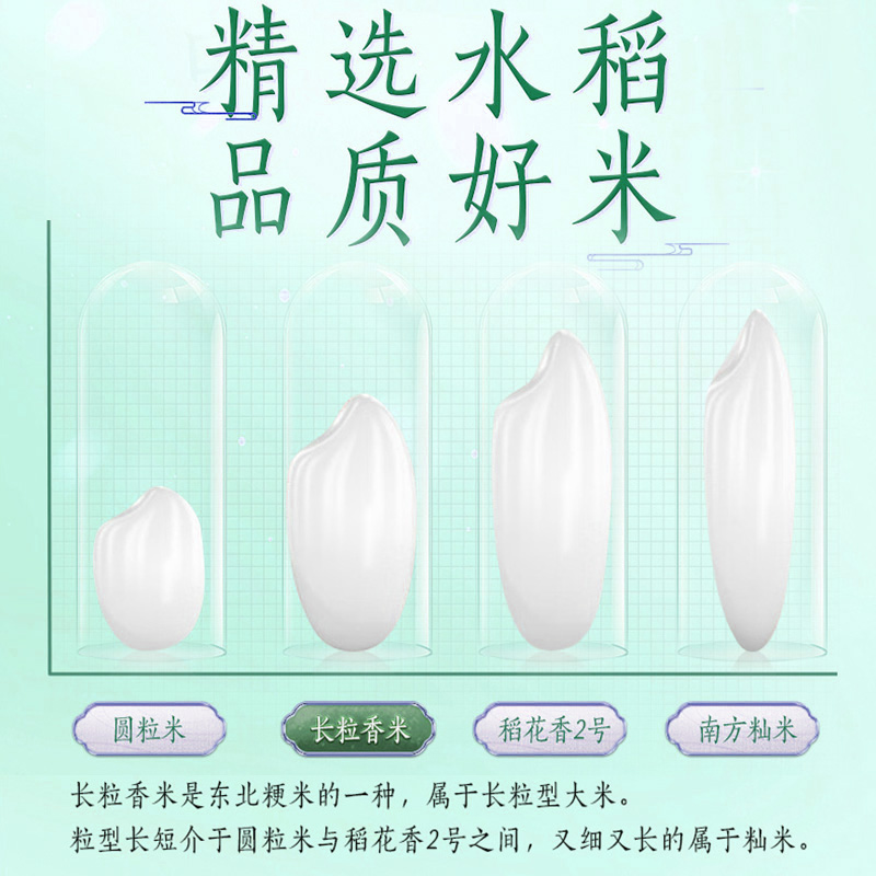 下拉详情页享特价 金龙鱼乳玉皇妃长香思贡米5kg*2东北大米长粒香
