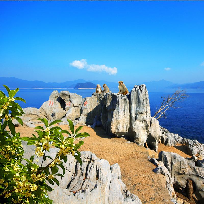 [千岛湖东南湖区-大门票+船票+黄山尖往返缆车]黄山尖/天池岛/ 桂花岛（猴岛）