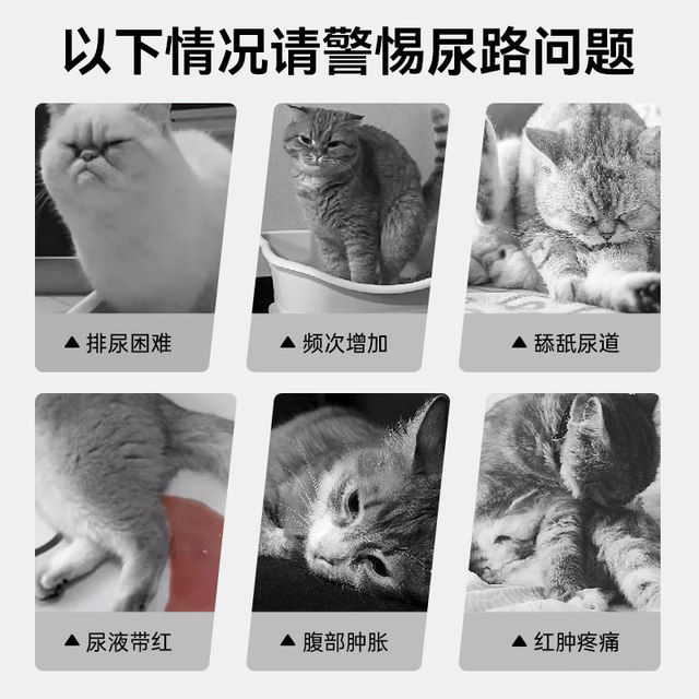 Hanwei Chongshi Humaike Diuretic Nutritional Support Tablets