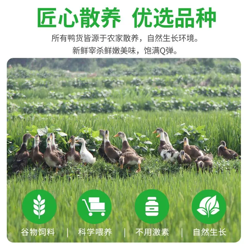 Liuhe fresh duck heart, delicious duck heart, duck offal, raw duck heart, duck stock, stewed vegetables, hot pot ingredients