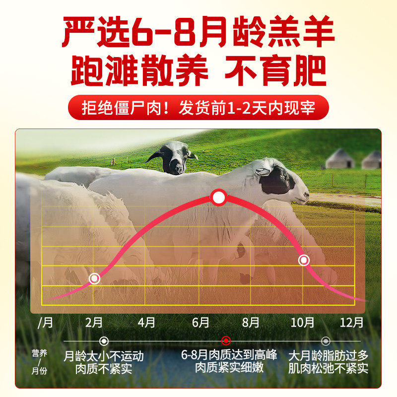 宁牧宴正宗宁夏滩羊盐滩羊肉新鲜宰杀半羊整羊生鲜火锅年货礼盒,淘宝优惠券,粉丝福利购,淘宝优惠卷