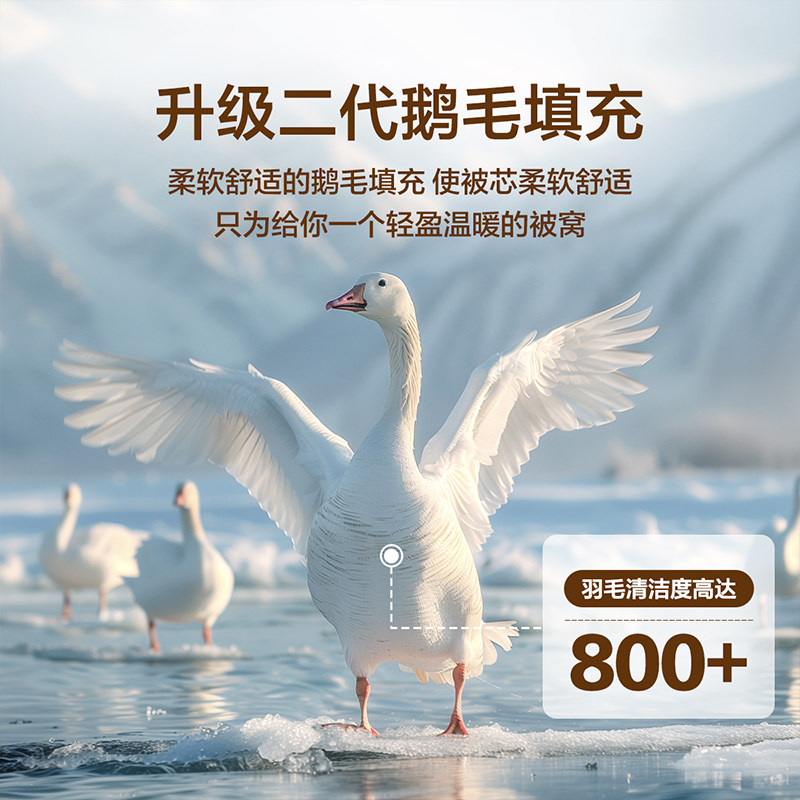 水星出品百丽丝家纺7A级抗菌鹅毛被保暖冬被家用被子被芯床上用品,淘宝优惠券,粉丝福利购,淘宝优惠卷