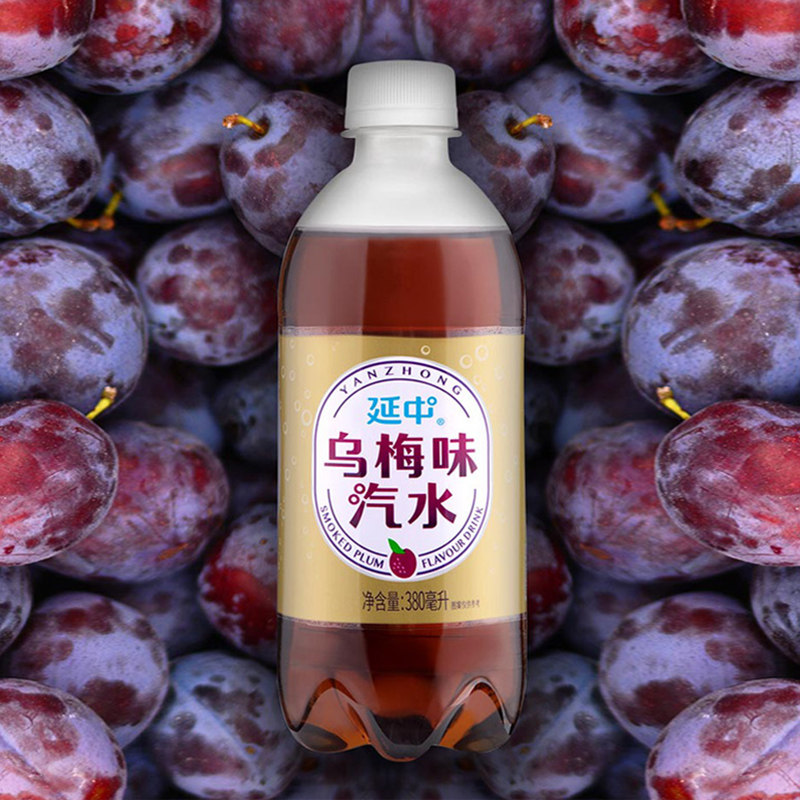 【品牌仓直发】延中碳酸饮料乌梅味汽水果味汽水夏季消暑解渴