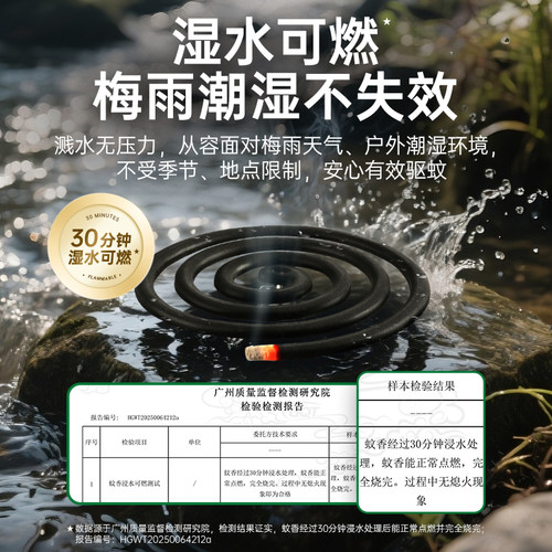 【包邮】榄菊盘香艾草蚊香预防基孔肯雅热伊蚊持久驱蚊灭蚊艾草 - 图1