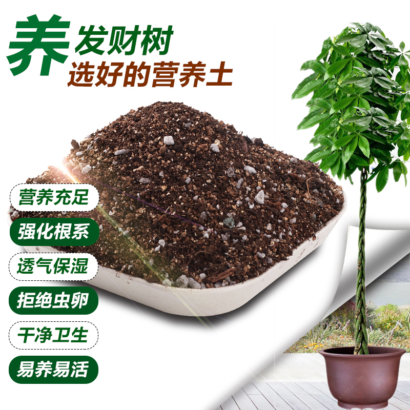 【单品包邮】德沃多肥料发财树专用土盆栽绿植平安树幸福树种植土-图0