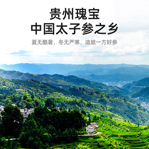 杞里香贵州太子参特产官方太子参片茶旗舰干货无硫麦冬店正品烹煮 - 图0