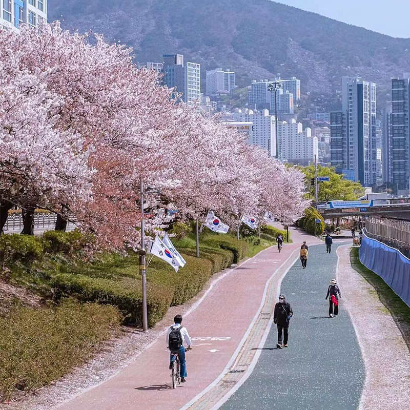 韩国·单次签证·广州送签·【包邮】十年老店韩国签证个人旅游简化加急团签特急广东广西海南,淘宝优惠券,粉丝福利购,淘宝优惠卷