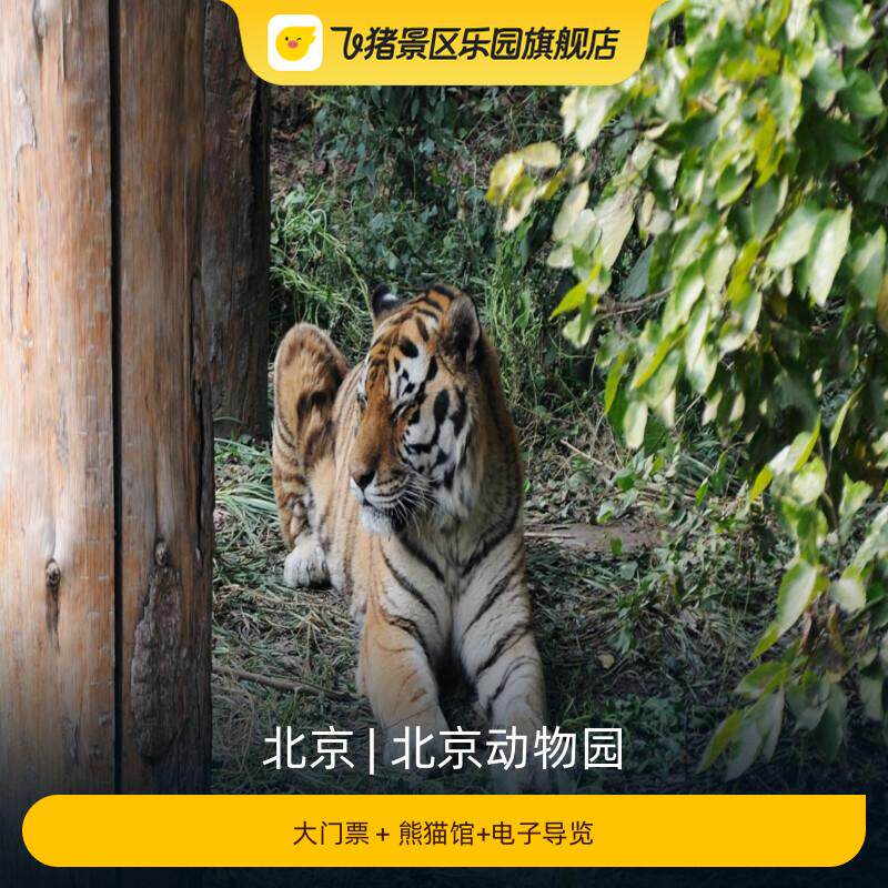 [北京动物园-大门票＋熊猫馆+电子导览]