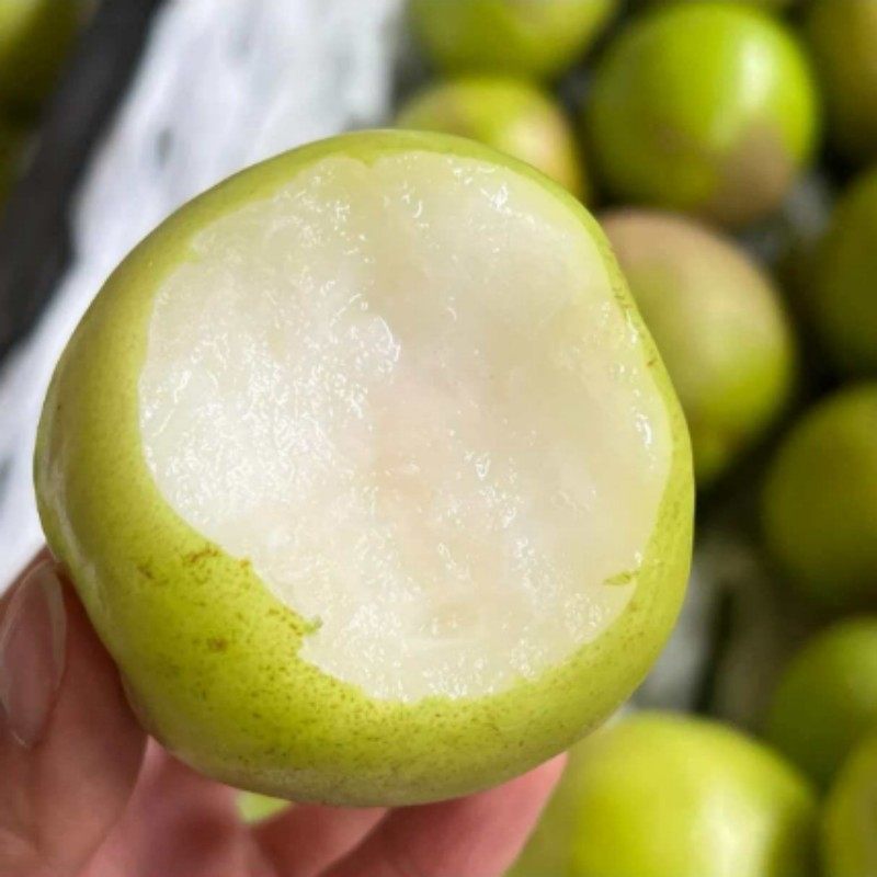 云南西双版纳苹果枣细腻化渣脆甜多汁应季孕妇新鲜水果,淘宝优惠券,粉丝福利购,淘宝优惠卷