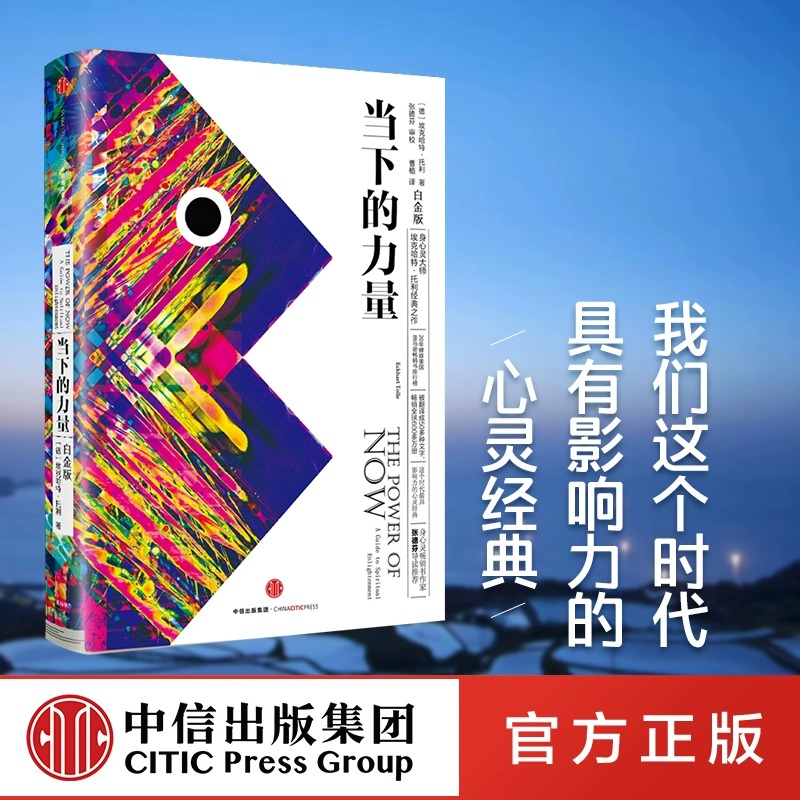 正版包邮 当下的力量 新版白金版自我励志心灵大师之作新华书店 - 图2