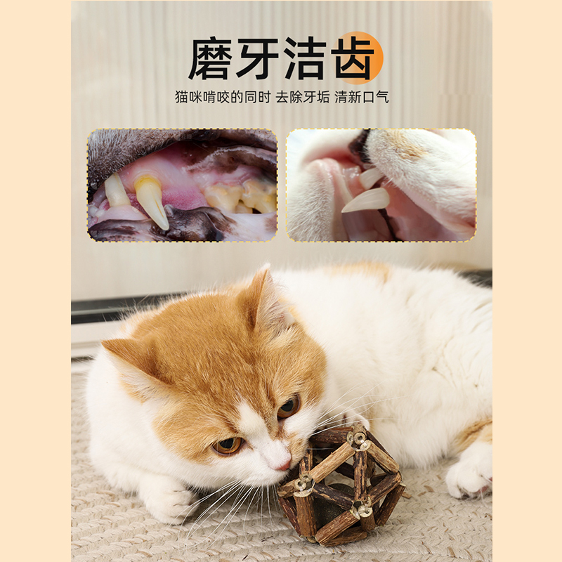 木天蓼猫玩具猫咪磨牙棒逗猫棒斗猫棒幼猫啃咬棒棒糖抖猫棒薄荷-图0