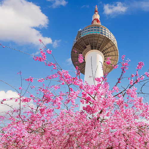 韩国首尔接送机仁川金浦机场接机送机接送济州岛旅游接送中文服务