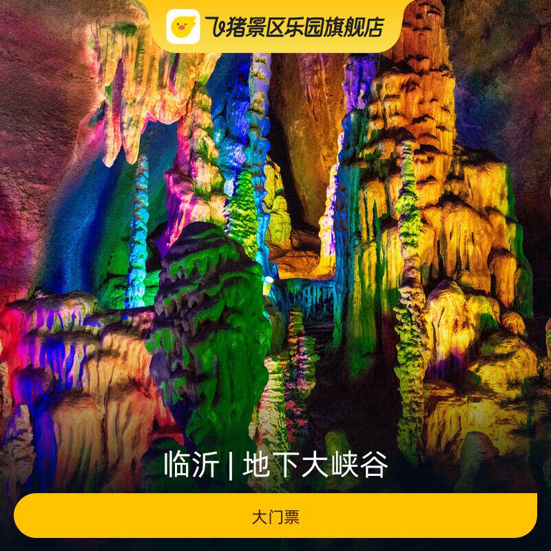 [地下大峡谷-大门票]