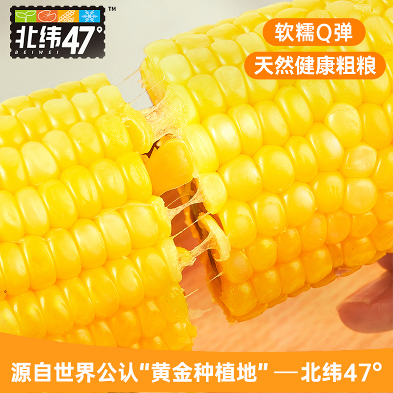 北纬47度黄糯鲜食玉米200g*6穗东北黑龙江玉米真空包装苞米棒杂粮