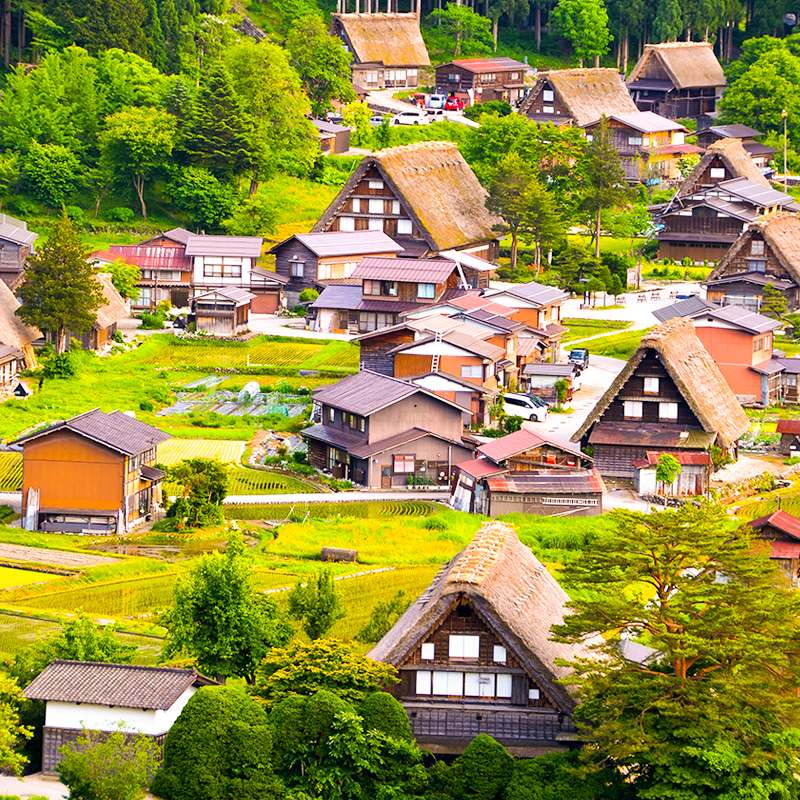 日本接送机 名古屋接机中部机场到名古屋市区名古屋送机 - 图0