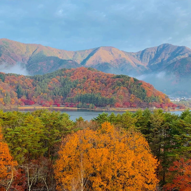 日本包车东京富士山箱根河口湖伊豆大阪京都奈良神户名古屋一日游-图3