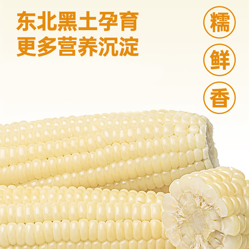 北纬47度白糯鲜食玉米220g*6穗甜糯玉米真空包装黑龙江东北苞米棒