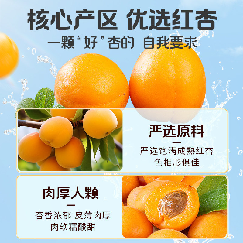 百草味红杏干量贩果脯果干无核杏脯肉网红休闲零食小吃独立小包装,淘宝优惠券,粉丝福利购,淘宝优惠卷