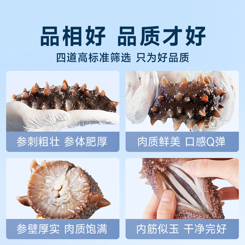 【超定制】大连4星6年即食海参辽刺参海鲜孕妇非干货礼盒送礼,淘宝优惠券,粉丝福利购,淘宝优惠卷