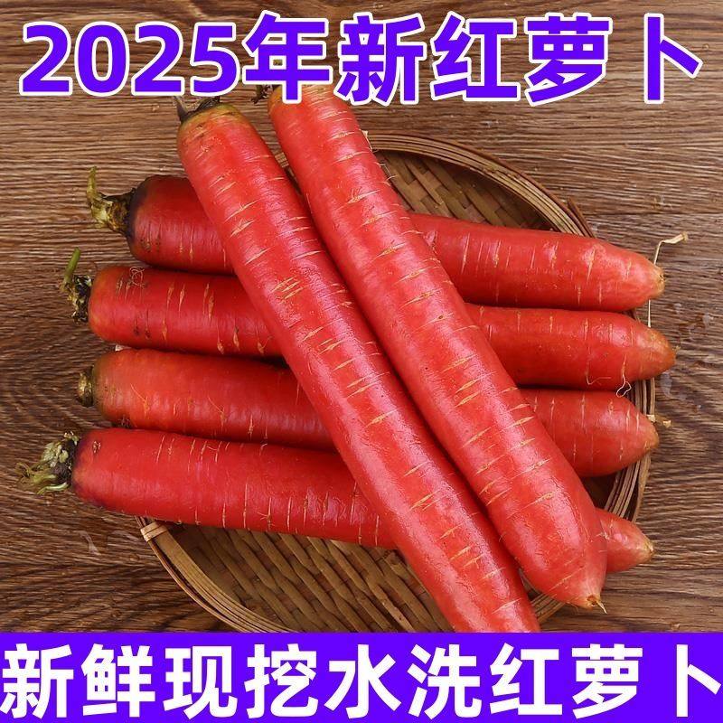 新鲜红萝卜水果萝卜沙地红萝卜农家自种现挖新鲜营养丰富健康蔬菜,淘宝优惠券,粉丝福利购,淘宝优惠卷
